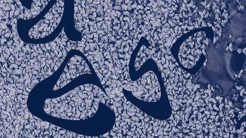 1920_2__10460168526385ed76498b4.png