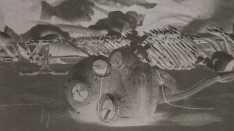 1920_3_12236543915f85c6d936e01.png