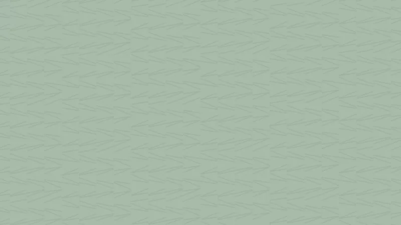 1920x974_2_2__133987084365e1d4de5b17a.png