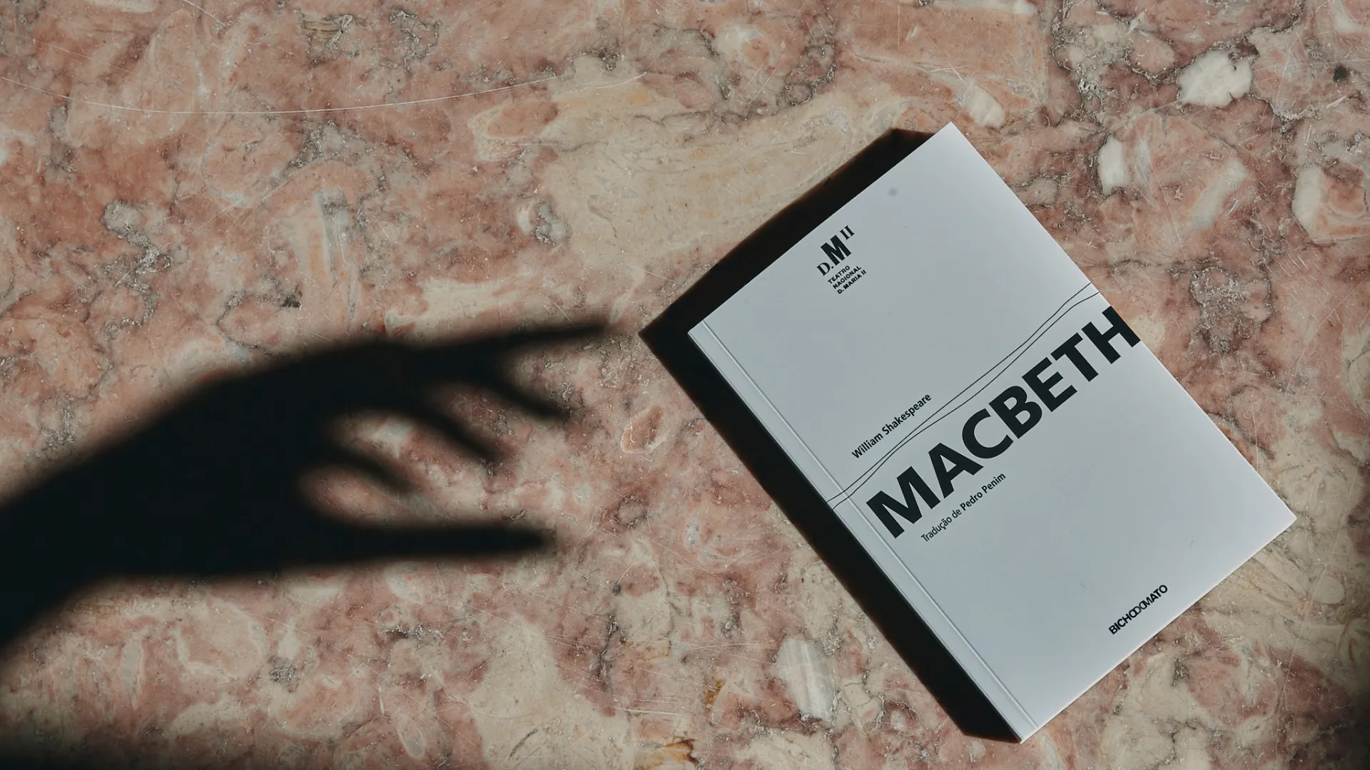 Livro Macbeth ©Filipe Ferreira_TNDMII.jpg
