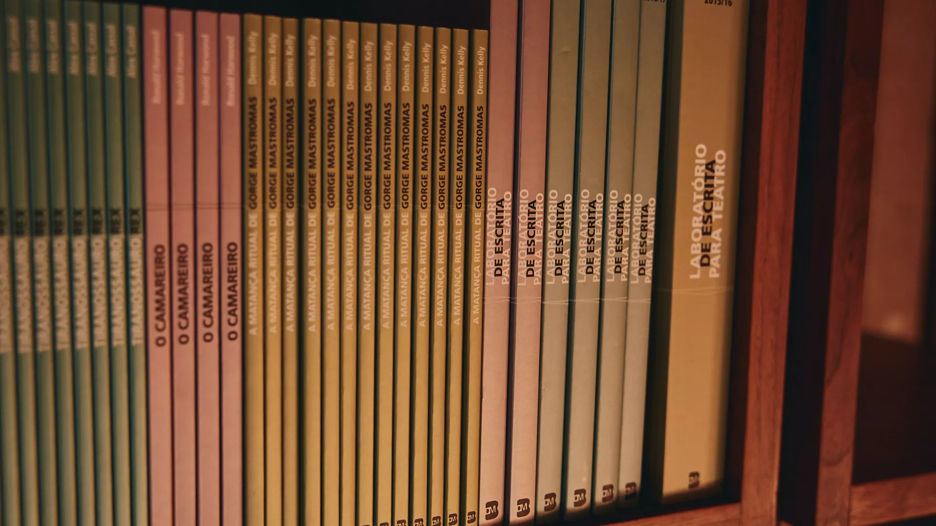 livraria © Filipe Ferreira_TNDMII.jpg