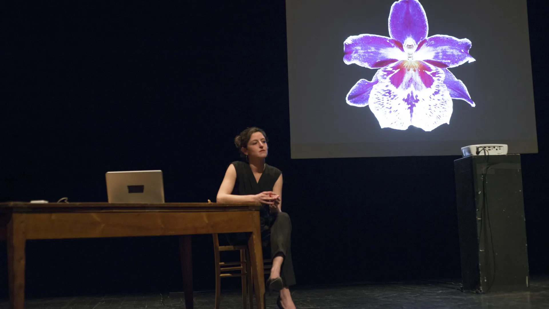 a_vida_sexual_das_orquideas_©camille_bondon_3__4807183435e2ec0ab9d2d9.jpg a_vida_sexual_das_orquideas_©camille_bondon_3__4807183435e2ec0ab9d2d9.jpg