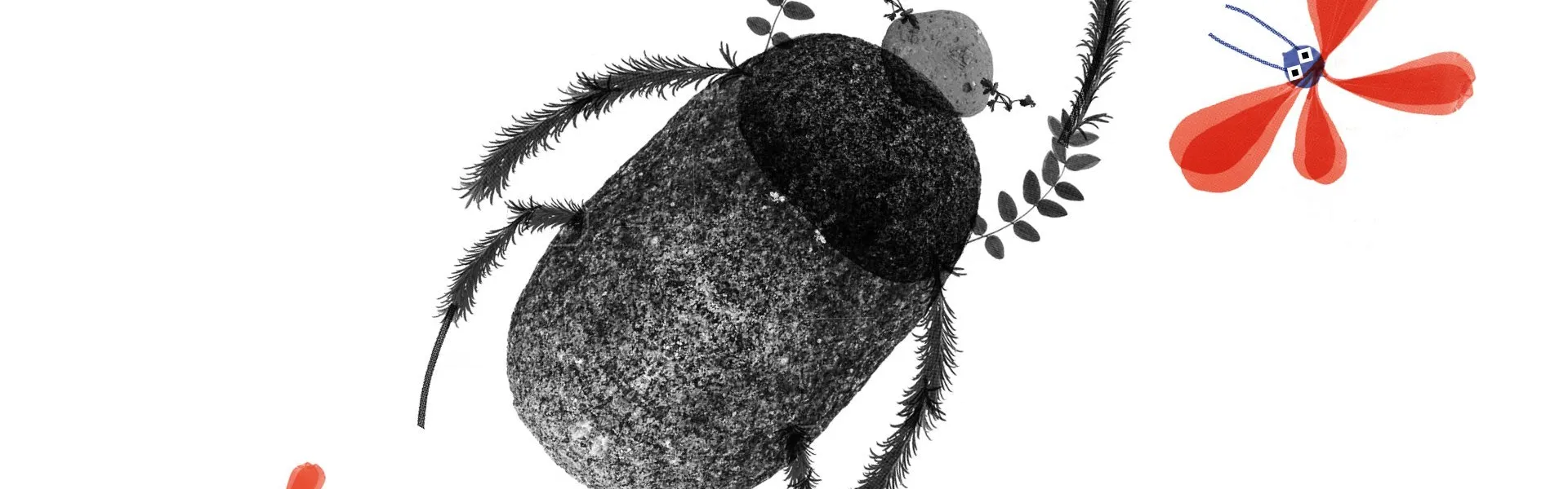 1920_21248314605c191e61a0c00.jpg 1920_21248314605c191e61a0c00.jpg