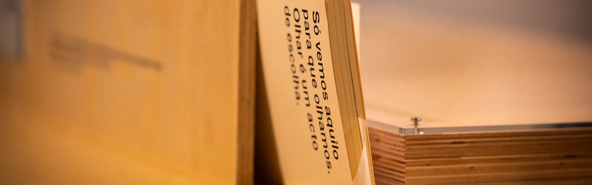 1920x974_2_2__296197584667c357ae347c.png