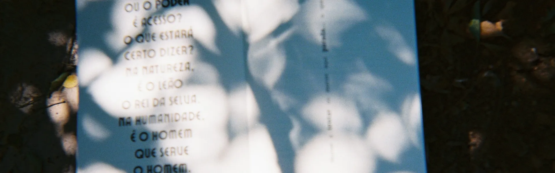 loule_es_dono_1920_83093441468e7862eb6d82.png
